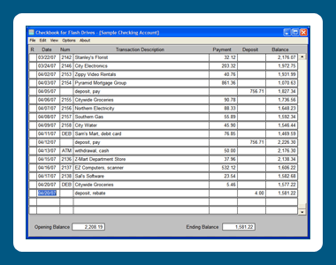 Checkbook for Flash Drives 1.04.14 screenshot